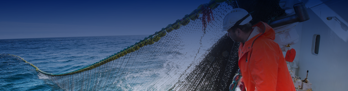 Ringnotfiske etter makrell — illustrasjonsbilde fra Nor-Fishing